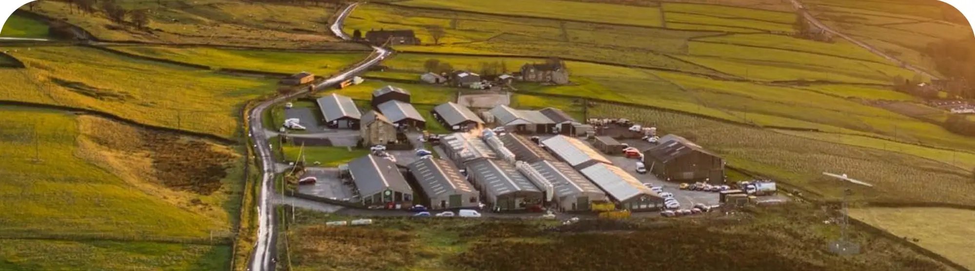 venuedoghouse venuedoghouse